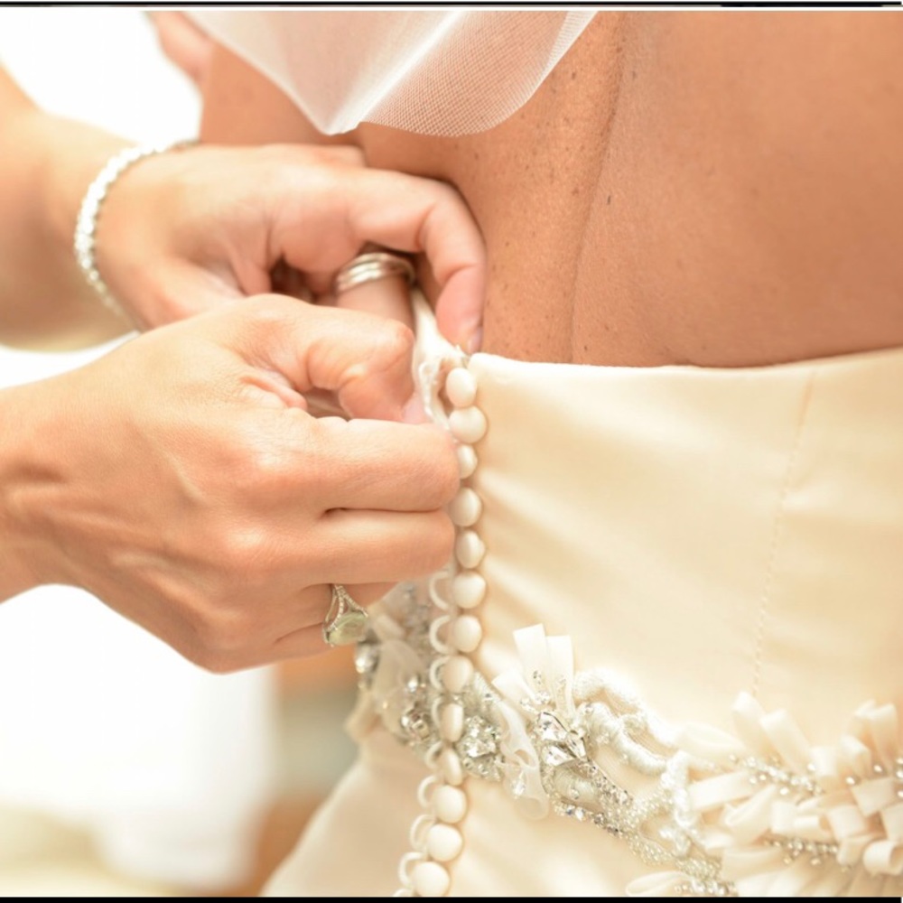 LAZARO WEDDING GOWN - Picture 5 of 6